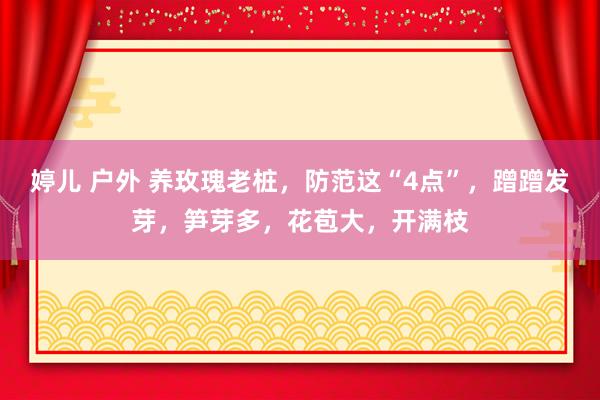 婷儿 户外 养玫瑰老桩，防范这“4点”，蹭蹭发芽，笋芽多，花苞大，开满枝