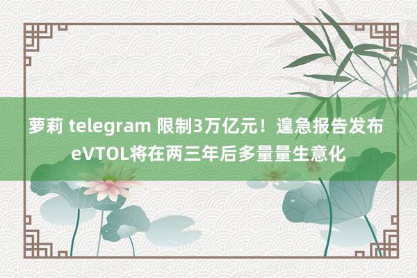 萝莉 telegram 限制3万亿元！遑急报告发布 eVTOL将在两三年后多量量生意化