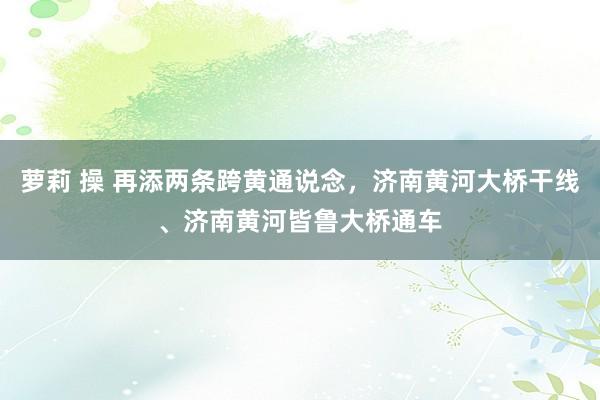 萝莉 操 再添两条跨黄通说念，济南黄河大桥干线、济南黄河皆鲁大桥通车