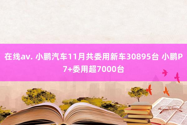 在线av. 小鹏汽车11月共委用新车30895台 小鹏P7+委用超7000台