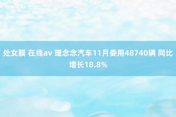 处女膜 在线av 理念念汽车11月委用48740辆 同比增长18.8%