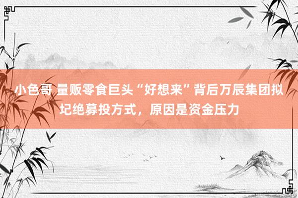 小色哥 量贩零食巨头“好想来”背后万辰集团拟圮绝募投方式，原因是资金压力