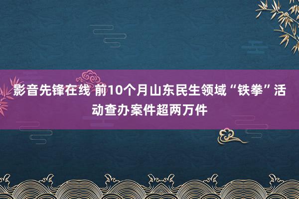 影音先锋在线 前10个月山东民生领域“铁拳”活动查办案件超两万件