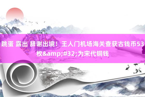 跳蛋 露出 辞谢出境！王人门机场海关查获古钱币53枚&#32;为宋代铜钱