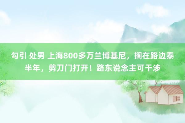 勾引 处男 上海800多万兰博基尼，搁在路边泰半年，剪刀门打开！路东说念主可干涉