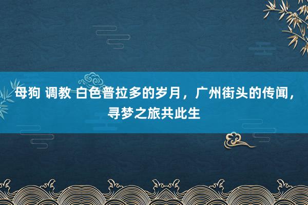 母狗 调教 白色普拉多的岁月，广州街头的传闻，寻梦之旅共此生