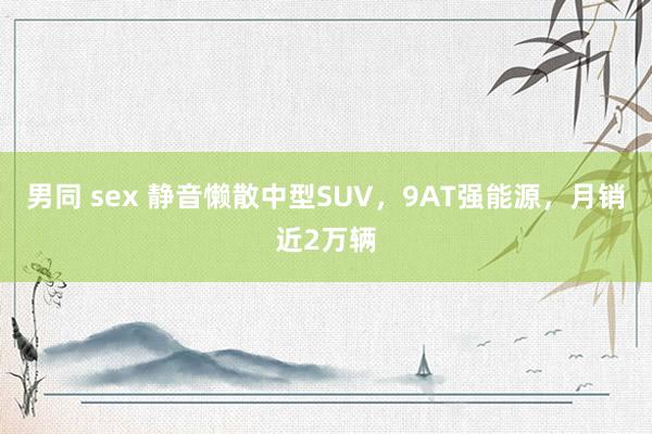 男同 sex 静音懒散中型SUV，9AT强能源，月销近2万辆