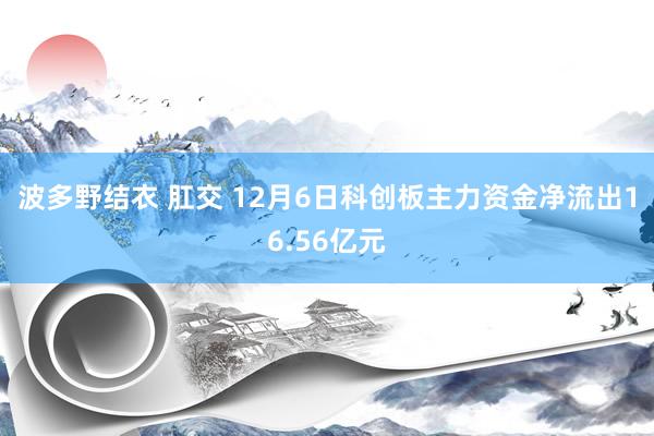 波多野结衣 肛交 12月6日科创板主力资金净流出16.56亿元