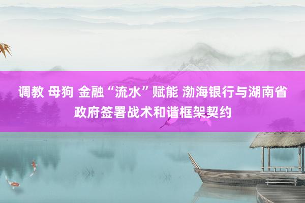 调教 母狗 金融“流水”赋能 渤海银行与湖南省政府签署战术和谐框架契约