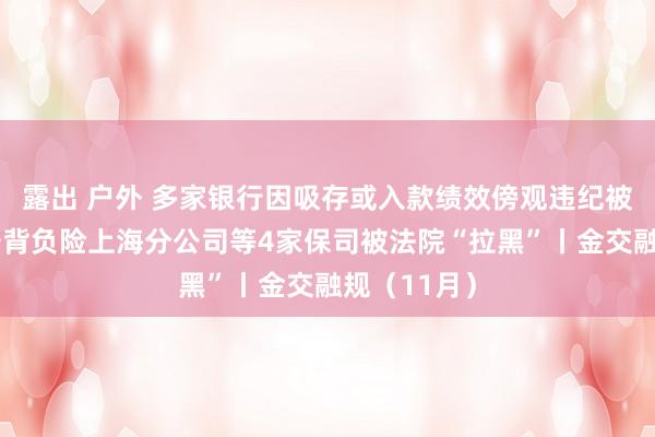 露出 户外 多家银行因吸存或入款绩效傍观违纪被重罚，长安背负险上海分公司等4家保司被法院“拉黑”丨金交融规（11月）