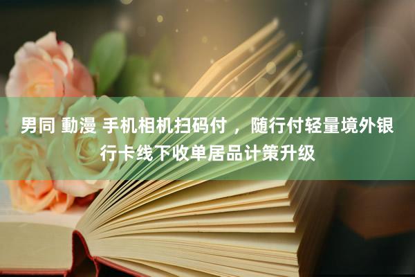 男同 動漫 手机相机扫码付 ，随行付轻量境外银行卡线下收单居品计策升级