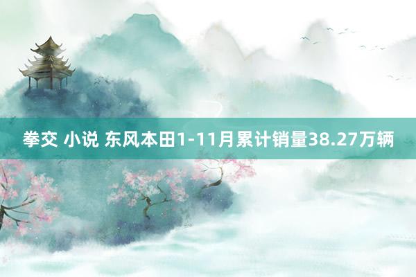 拳交 小说 东风本田1-11月累计销量38.27万辆