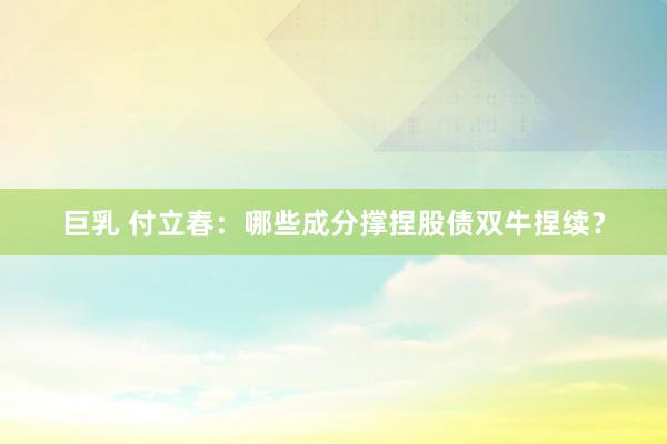巨乳 付立春：哪些成分撑捏股债双牛捏续？