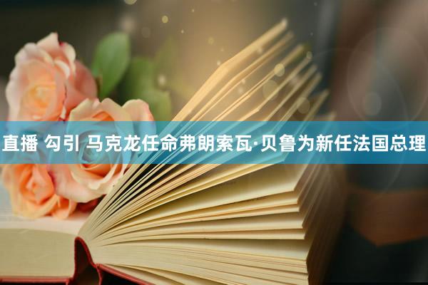 直播 勾引 马克龙任命弗朗索瓦·贝鲁为新任法国总理