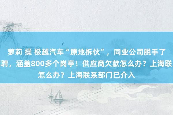 萝莉 操 极越汽车“原地拆伙”，同业公司脱手了：开启专场招聘，涵盖800多个岗亭！供应商欠款怎么办？上海联系部门已介入
