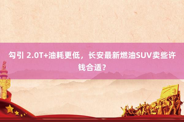 勾引 2.0T+油耗更低，长安最新燃油SUV卖些许钱合适？