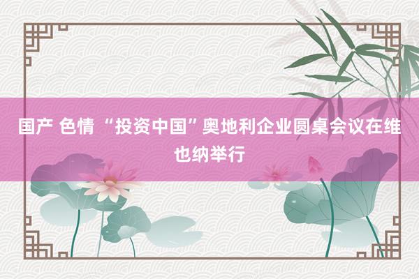 国产 色情 “投资中国”奥地利企业圆桌会议在维也纳举行