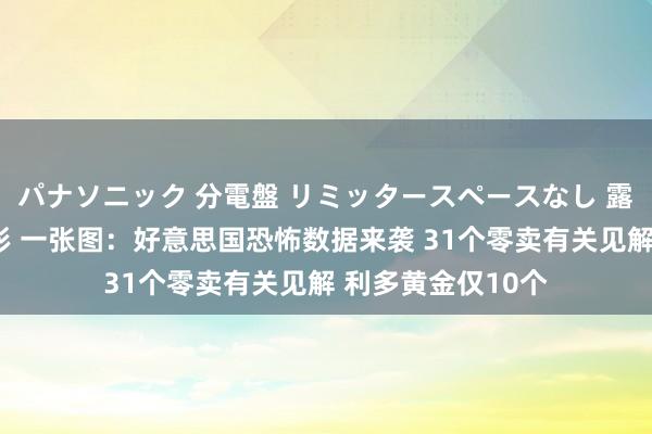 パナソニック 分電盤 リミッタースペースなし 露出・半埋込両用形 一张图：好意思国恐怖数据来袭 31个零卖有关见解 利多黄金仅10个
