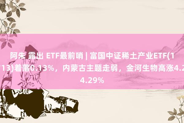 阿朱 露出 ETF最前哨 | 富国中证稀土产业ETF(159713)着落0.13%，内蒙古主题走弱，金河生物高涨4.29%