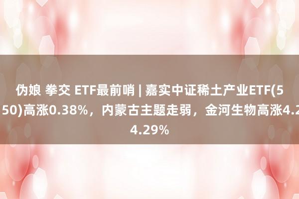 伪娘 拳交 ETF最前哨 | 嘉实中证稀土产业ETF(516150)高涨0.38%，内蒙古主题走弱，金河生物高涨4.29%
