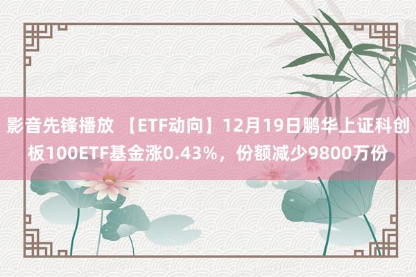 影音先锋播放 【ETF动向】12月19日鹏华上证科创板100ETF基金涨0.43%，份额减少9800万份