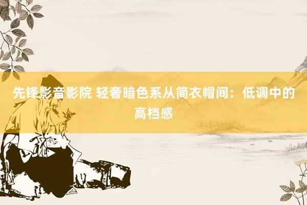 先锋影音影院 轻奢暗色系从简衣帽间：低调中的高档感