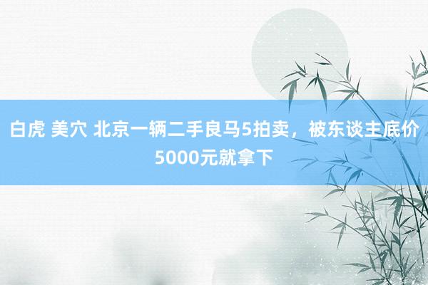 白虎 美穴 北京一辆二手良马5拍卖，被东谈主底价5000元就拿下