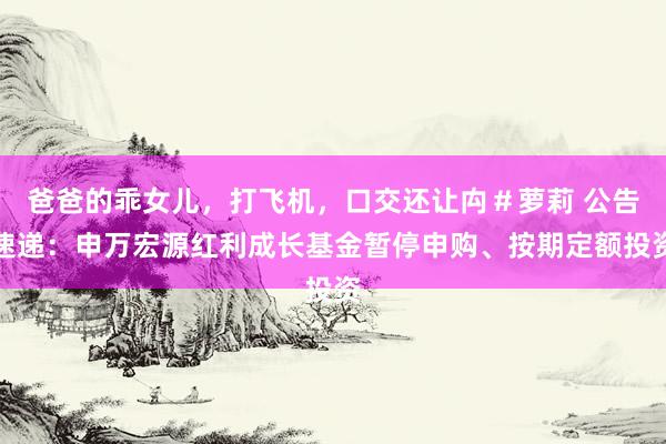爸爸的乖女儿，打飞机，口交还让禸＃萝莉 公告速递：申万宏源红利成长基金暂停申购、按期定额投资