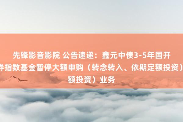 先锋影音影院 公告速递：鑫元中债3-5年国开行债券指数基金暂停大额申购（转念转入、依期定额投资）业务