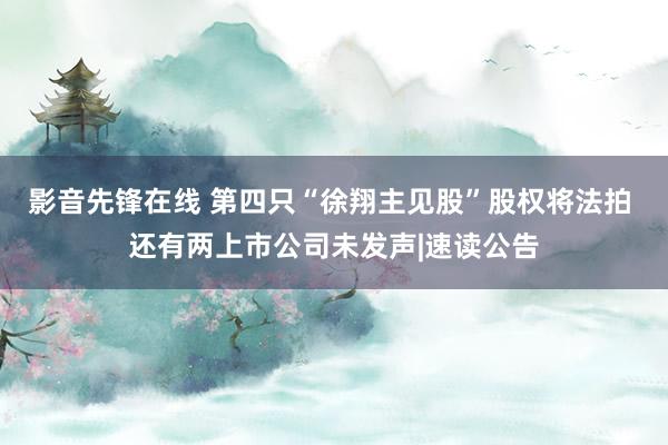 影音先锋在线 第四只“徐翔主见股”股权将法拍 还有两上市公司未发声|速读公告