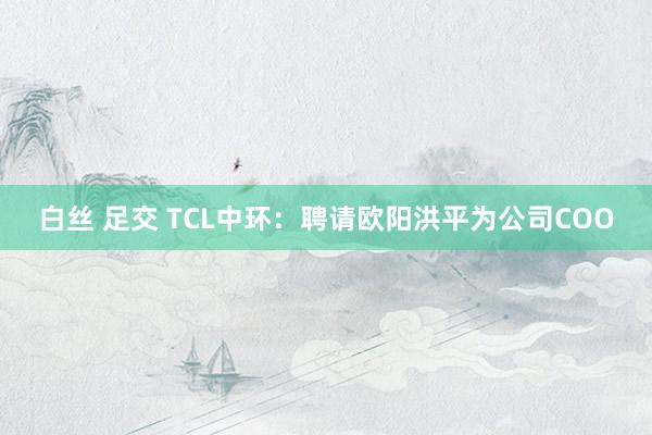 白丝 足交 TCL中环：聘请欧阳洪平为公司COO