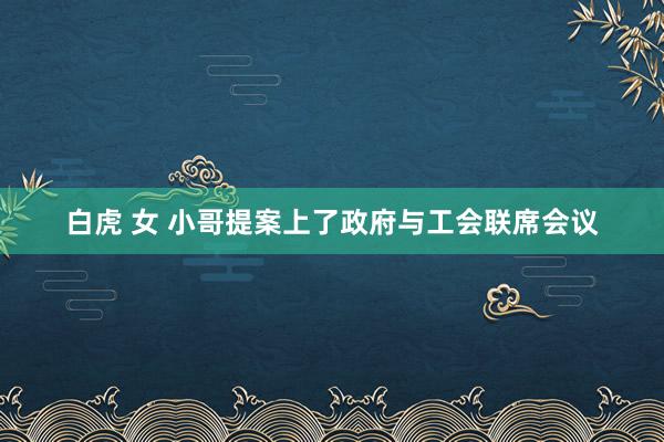 白虎 女 小哥提案上了政府与工会联席会议