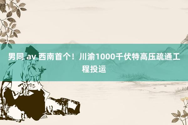 男同 av 西南首个！川渝1000千伏特高压疏通工程投运