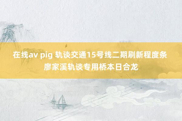 在线av pig 轨谈交通15号线二期刷新程度条 廖家溪轨谈专用桥本日合龙