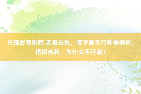 先锋影音影院 老祖先说，院子里不行种梧桐树，梧桐吉利，为什么不行栽？