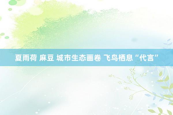 夏雨荷 麻豆 城市生态画卷 飞鸟栖息“代言”