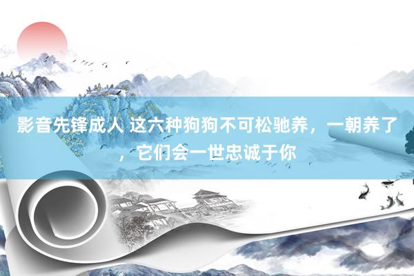 影音先锋成人 这六种狗狗不可松驰养，一朝养了，它们会一世忠诚于你