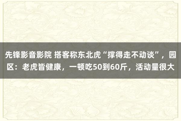 先锋影音影院 搭客称东北虎“撑得走不动谈”，园区：老虎皆健康，一顿吃50到60斤，活动量很大