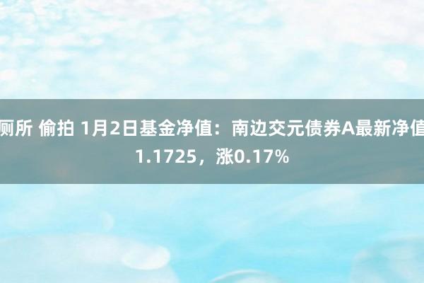 厕所 偷拍 1月2日基金净值：南边交元债券A最新净值1.1725，涨0.17%