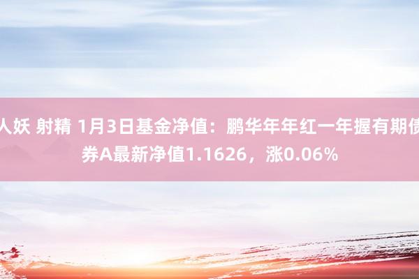 人妖 射精 1月3日基金净值：鹏华年年红一年握有期债券A最新净值1.1626，涨0.06%