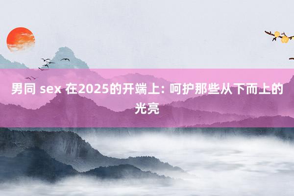 男同 sex 在2025的开端上: 呵护那些从下而上的光亮