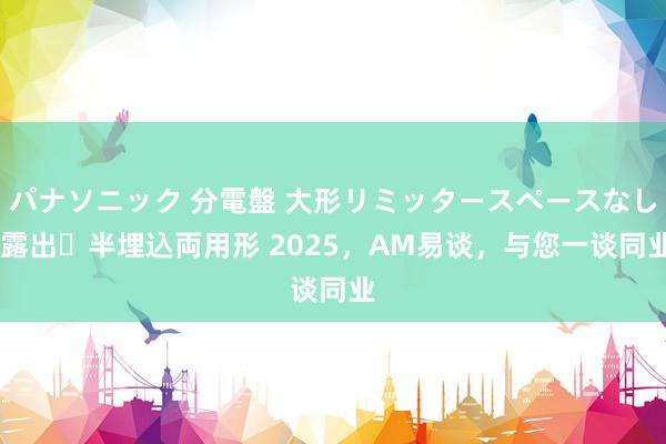 パナソニック 分電盤 大形リミッタースペースなし 露出・半埋込両用形 2025，AM易谈，与您一谈同业