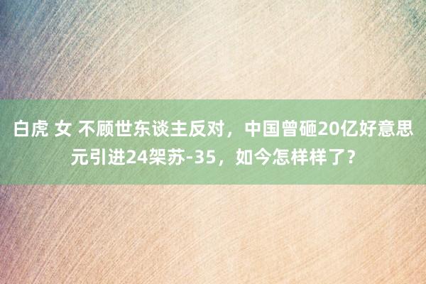 白虎 女 不顾世东谈主反对，中国曾砸20亿好意思元引进24架苏-35，如今怎样样了？