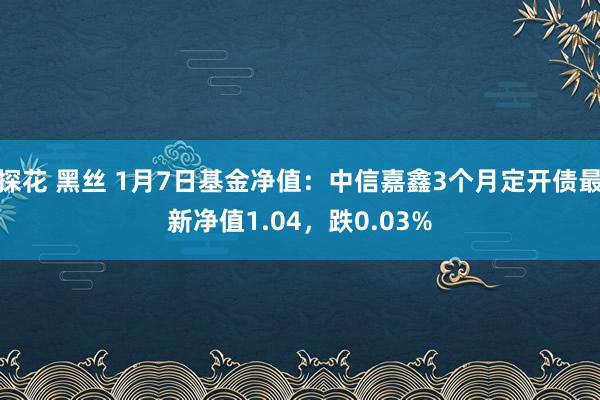 探花 黑丝 1月7日基金净值：中信嘉鑫3个月定开债最新净值1.04，跌0.03%