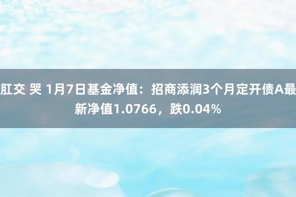 肛交 哭 1月7日基金净值：招商添润3个月定开债A最新净值1.0766，跌0.04%