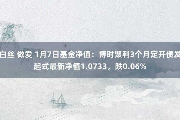 白丝 做爱 1月7日基金净值：博时聚利3个月定开债发起式最新净值1.0733，跌0.06%