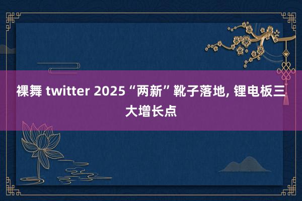 裸舞 twitter 2025“两新”靴子落地, 锂电板三大增长点