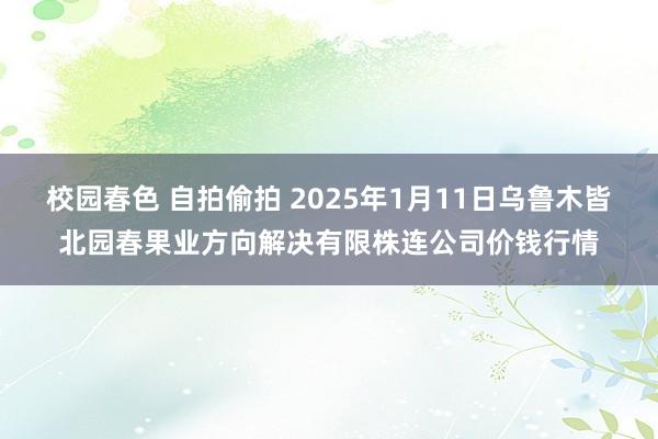 校园春色 自拍偷拍 2025年1月11日乌鲁木皆北园春果业方向解决有限株连公司价钱行情