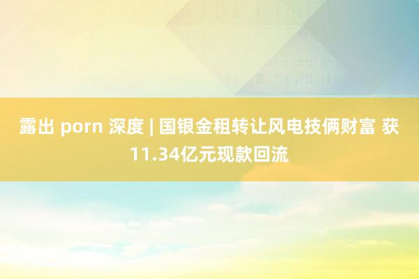 露出 porn 深度 | 国银金租转让风电技俩财富 获11.34亿元现款回流