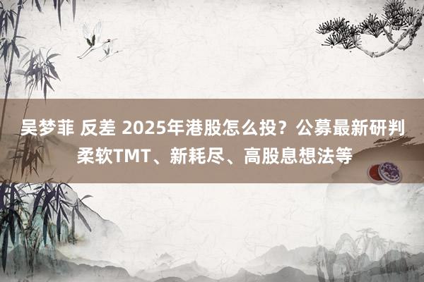 吴梦菲 反差 2025年港股怎么投？公募最新研判 柔软TMT、新耗尽、高股息想法等